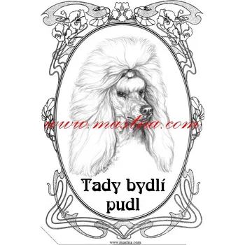 Cedulka pudl bílý 2 - Bez samolepicí vrstvy