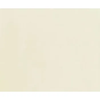 Modelářská barva barva akrylová bílá matná Noch 61190