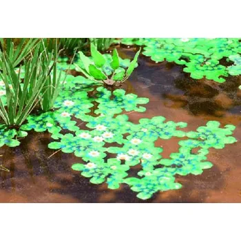 Modelová železnice lekníny Noch 14114