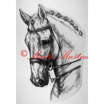 Samolepka kůň teplokrevník, koně, drezura c255 - Malá - přibližně jako pohlednice
