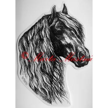 Samolepka frís, kůň, koně c241 - Malá - přibližně jako pohlednice