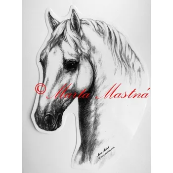 Samolepka lipicán, kůň, koně c454 - Malá - přibližně jako pohlednice