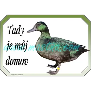 Kachnička smaragdová cedulka - Bez samolepicí vrstvy