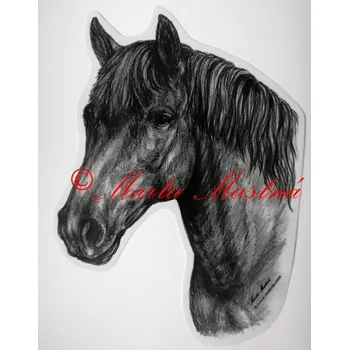 Samolepka hucul, pony, kůň, koně c459 - Malá - přibližně jako pohlednice