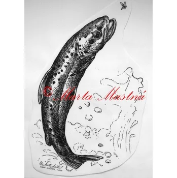 Samolepka pstruh, ryba, ryby c334 - Malá - přibližně jako pohlednice