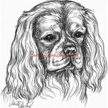 Samolepka kavalír king Charles španěl - archiv c580 - Malá - přibližně jako pohlednice