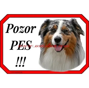 Cedulka australský ovčák blue 2 - Bez samolepicí vrstvy