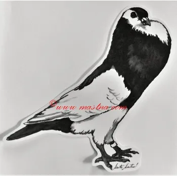 Samolepka holub český stavák - archiv c604 - Malá - přibližně jako pohlednice