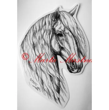 Samolepka kůň andaluzan, pura raza espaňola, samolepky koně c233 - Malá - přibližně jako pohlednice