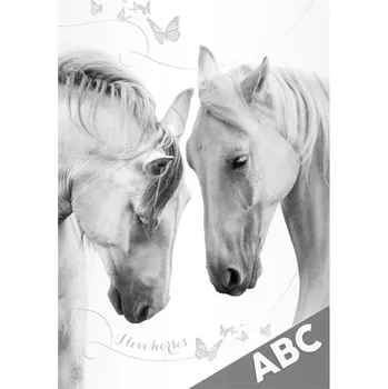 desky na sešit Desky na ABC MFP Koně