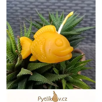 Svíčka Svíčka ryba 100% včelí vosk (Tato svíčka byla vyrobena ručně z pravého včelího vosku vyčištěného do nejvyšší možné kvality.)