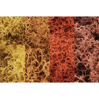 Modelová železnice islandský mech podzimní Woodland Scenics L165