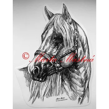 Samolepka quarter horse, western, kůň, koně c271 - Malá - přibližně jako pohlednice