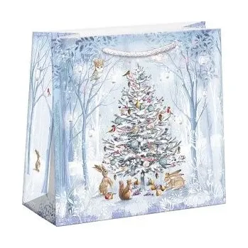 Dárková taška ARGUS Dárková papírová taška (16 x 16 cm) 08230461