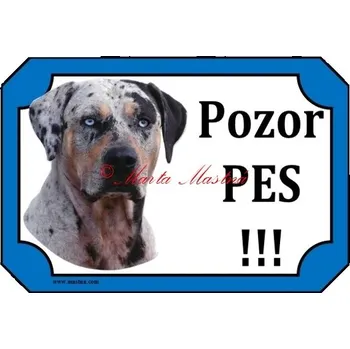 Cedulka catahoula louisiana leopard dog blue 2 - Bez samolepicí vrstvy