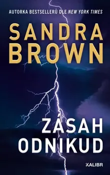 Kniha Zásah odnikud - Sandra Brownová (2024) [E-kniha]