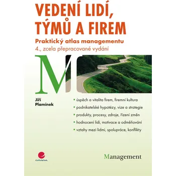 Vedení lidí, týmů a firem