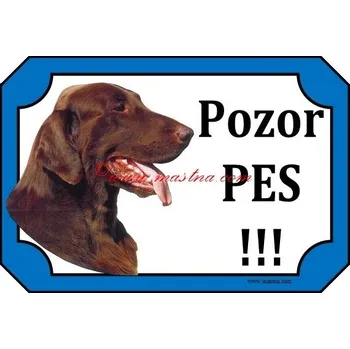 Cedulka flat coated retrívr hnědý - Bez samolepicí vrstvy