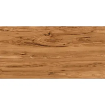 Dlažba Otello Brown Mat - dlaždice rektifikovaná 59,7x119,7 hnědá mat 168333