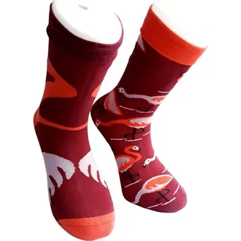 Dámské ponožky Plameňák 39-43