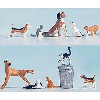 psi a kočky Noch 45715