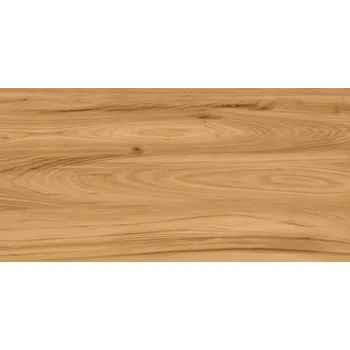 Dlažba Otello Light Brown Mat - dlaždice rektifikovaná 59,7x119,7 hnědá mat 168332