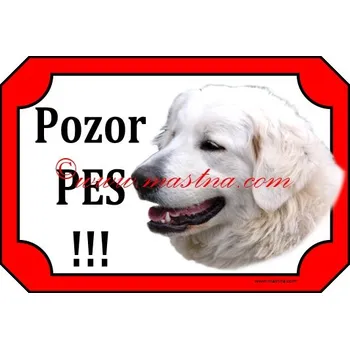 Cedulka slovenský čuvač - Bez samolepicí vrstvy