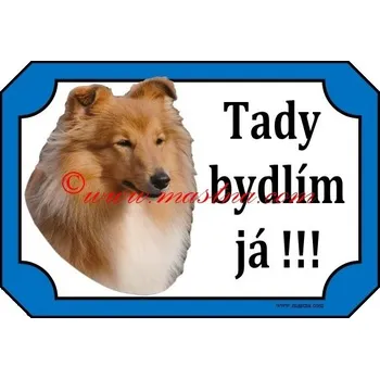 Cedulka šeltie zlatá bydlí - Bez samolepicí vrstvy