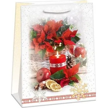 Dárková taška ARGUS Dárková papírová taška (29 x 38 cm) 08830464