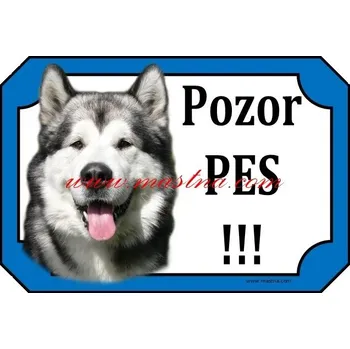Cedulka aljašský malamut - Bez samolepicí vrstvy