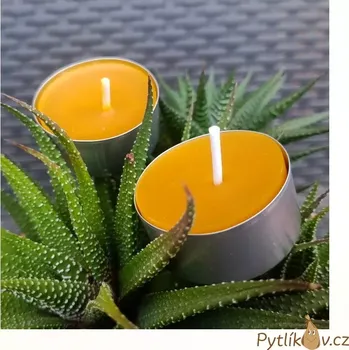 Svíčka Svíčka čajová 100% včelí vosk (Tato svíčka byla vyrobena ručně z pravého včelího vosku vyčištěného do nejvyšší možné kvality.)