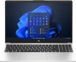 HP 250 G10 (AK9W8AT#BCM) stříbrný