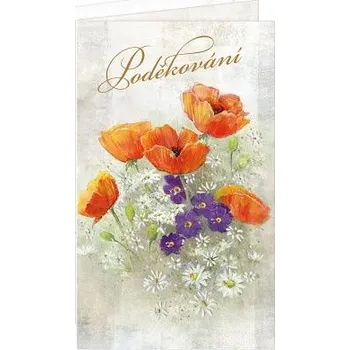 ARGUS Přání poděkování 15-6513cdek