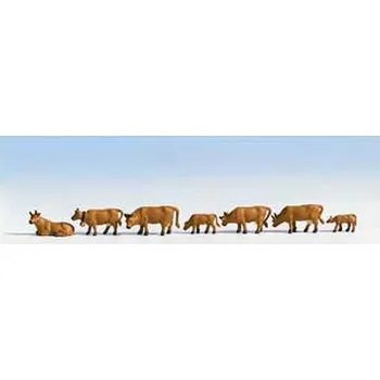 krávy tmavě hnědé Noch 36722