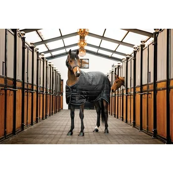 Deka pro koně HORSEWARE Deka stájová Easy-Layer Plus Horseware, 200 g, black/black & silver Délka zad: 145 cm