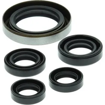 Těsnění motoru Winderosa sada gufer motoru Polaris Outlaw 500 06-07, Predator 500 03-07