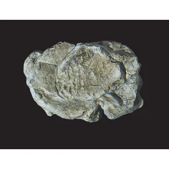 Modelová železnice forma na skalní stěny Woodland Scenics C1237