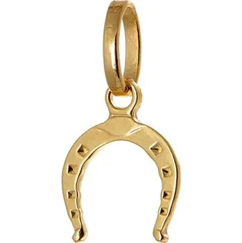Přívěsek Zlatý přívěšek podkova ZZ0568F