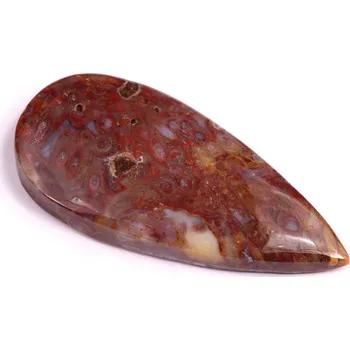 Přírodní kámen Kabošon Palm Root Fossil č.3012 (48x23x6mm)