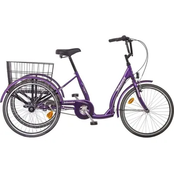 Městské kolo LIBERTY COMFY 24" Tříkolka 3spd 2025 fialová