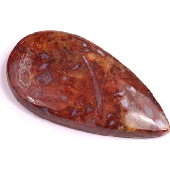 Korálek Kabošon Palm Root Fossil č.3014 (42x23x6mm)