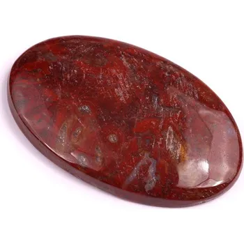 Přírodní kámen Kabošon Palm Root Fossil č.3011 (41x25x6mm)