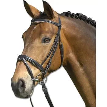 Uzdečka Star Lifestyle shetland černá/bílá