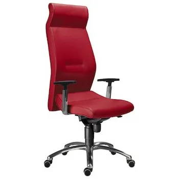 Jídelní židle Židle 1800 LEI červená