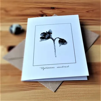 Obálka Kondolence s obálkou č. 13