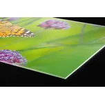 DIMEX | Plexisklo za kuchyňskou linku PGT-18060-113 | 180 x 60 cm | Motýli + Plexisklo za kuchyňskou linku DIMEX v rozměru 180 x 60 cm, motiv Motýli