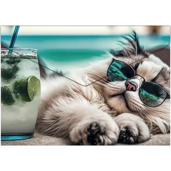 Spisové desky s drukem Chillout cat A5 180 mic