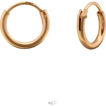 Náušnice Prosperk Náušnice kroužky stříbro rose gold