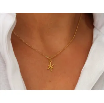 Náhrdelník Pozlacený náhrdelník znamení Zvěrokruhu Délka řetízku: 41cm, Typ řetízku: Cable (jednoduchý), Znamení: Ryby Ag 925/1000