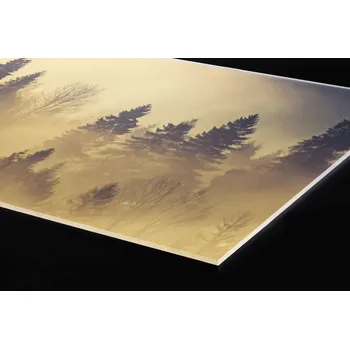 Obklad DIMEX | Plexisklo za kuchyňskou linku PGT-10060-142 | 100 x 60 cm | Lesní krajina + Plexisklo za kuchyňskou linku DIMEX v rozměru 100 x 60 cm, motiv Lesní krajina